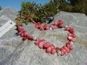 dsc01241.jpg