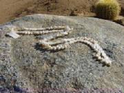 dsc01246.jpg
