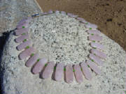 dsc01250.jpg