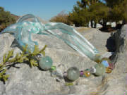 dsc01253.jpg