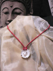 p782.jpg