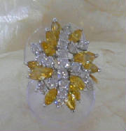 rings006.jpg