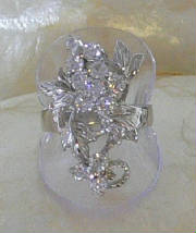 rings017.jpg