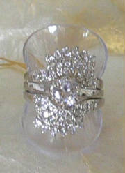 rings037.jpg